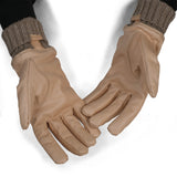 CG01- Gloves