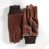 Gloves: CG01